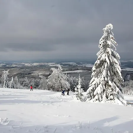 Deluxe - Nationalpark - Gross, Erholsam, Familienfreundlich, Extras Apartment Ellweiler