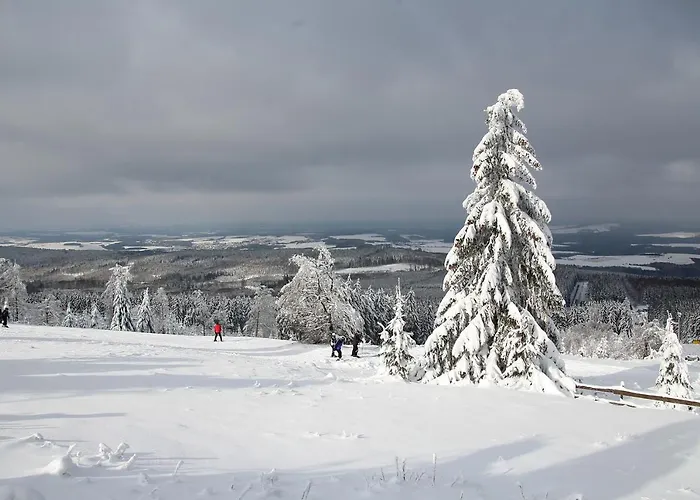 Deluxe - Nationalpark - Gross, Erholsam, Familienfreundlich, Extras דירה Ellweiler